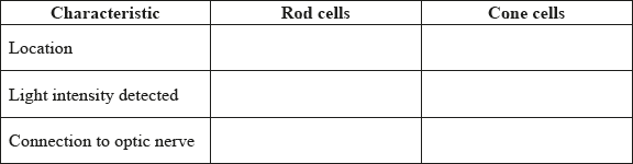 N13/4/BIOLO/SP3/ENG/TZ0/14.a