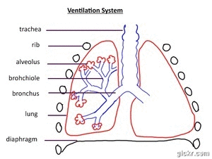 Image: David Faure 2012