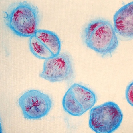 Image: Kingsway school, CC