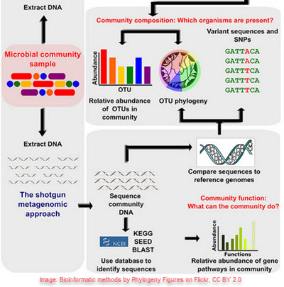 Image: DFaure 2014 using Zygotebody