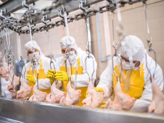 https://www.thenational.scot/news/18498653.uk-government-ready-allow-import-us-chlorine-washed-chicken/
