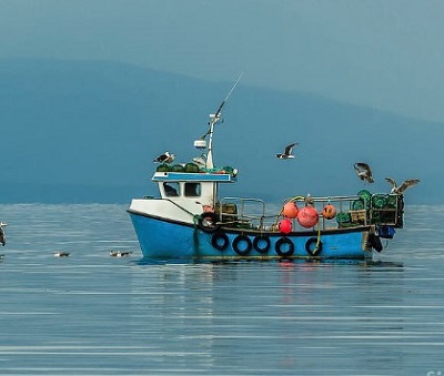 https://fineartamerica.com/featured/small-fishing-boat-with-lobster-pods-and-seagulls-on-calm-atlantic-in-front-of-the-hebride-islands-andreas-berthold.html